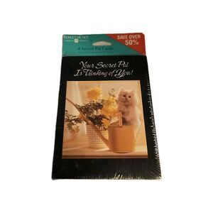 American Greetings VINTAGE Secret Pals Admirer Set Of 8 Cards Cats Kittens New